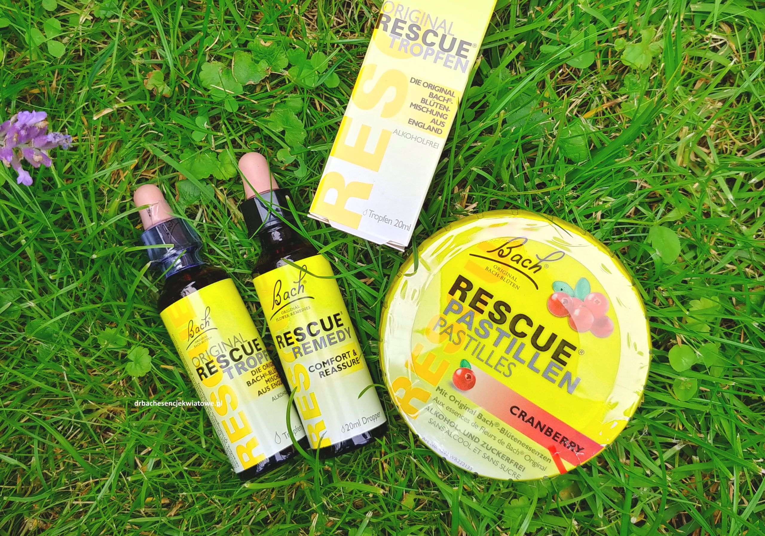 Rescue Remedy – Twoja pomoc w nagłej potrzebie